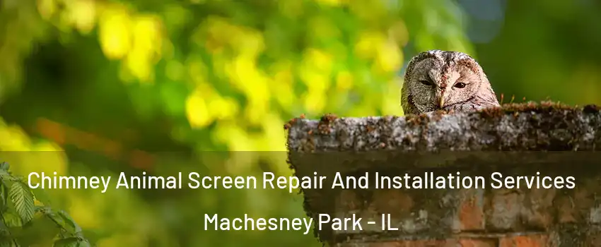  Chimney Animal Screen Repair And Installation Services Machesney Park - IL