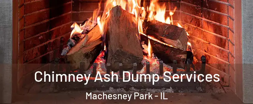  Chimney Ash Dump Services Machesney Park - IL