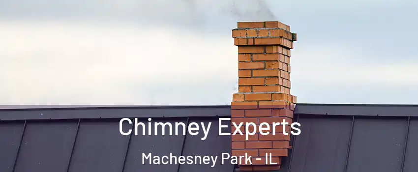 Chimney Experts Machesney Park - IL