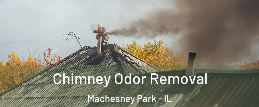  Chimney Odor Removal Machesney Park - IL