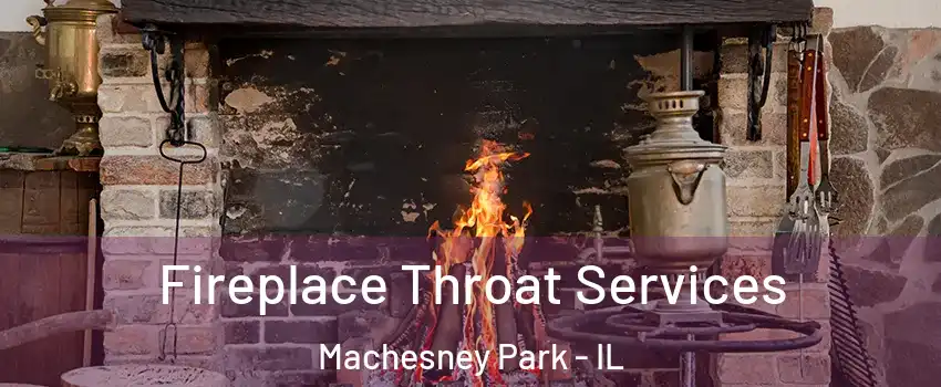  Fireplace Throat Services Machesney Park - IL