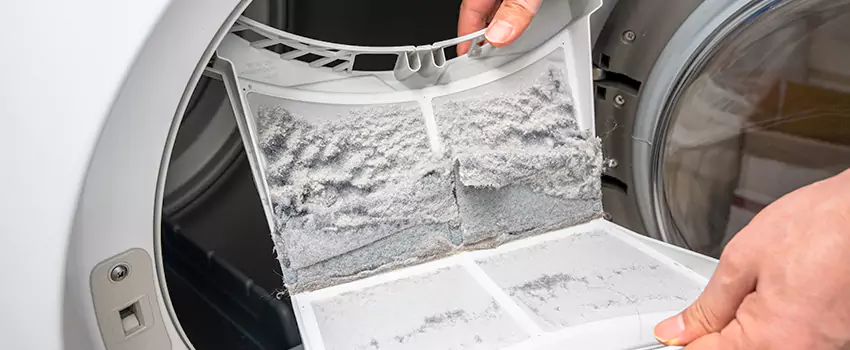 Best Dryer Lint Removal Company in Machesney Park, Illinois