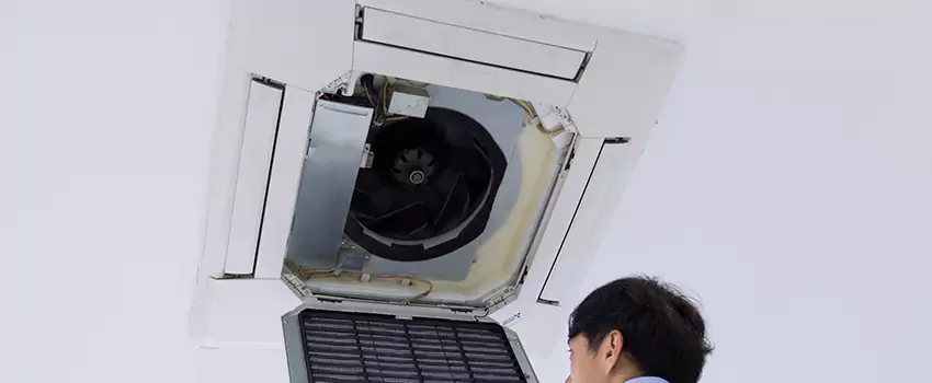 Benefits of Professional Air Duct Cleaning in Machesney Park, Illinois