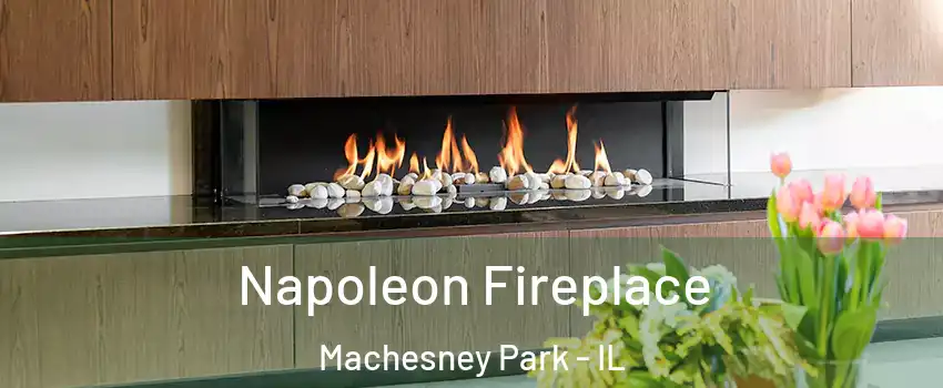  Napoleon Fireplace Machesney Park - IL
