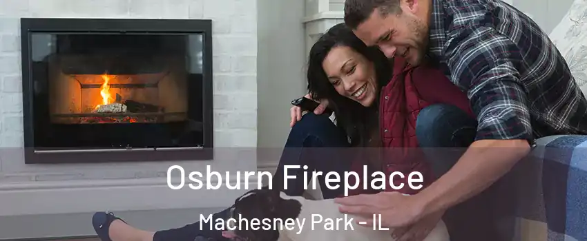  Osburn Fireplace Machesney Park - IL